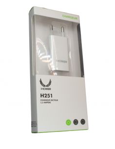 Chargeur secteur Ihower pour les cameras et micros 2