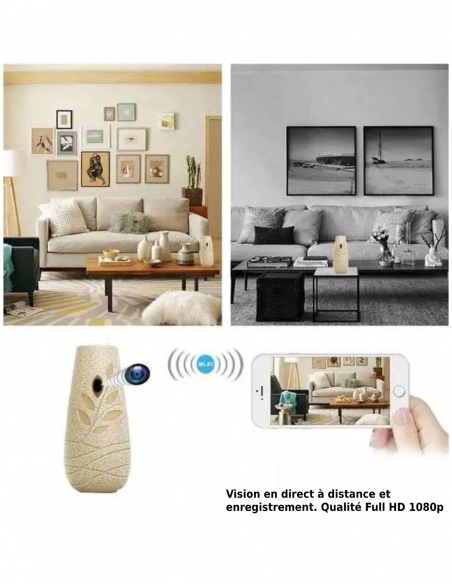detecteur_interieur_camera_wifi_en_direct