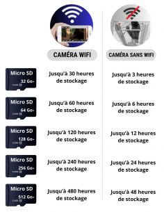 Carte mémoire Micro SD 256 Go 2